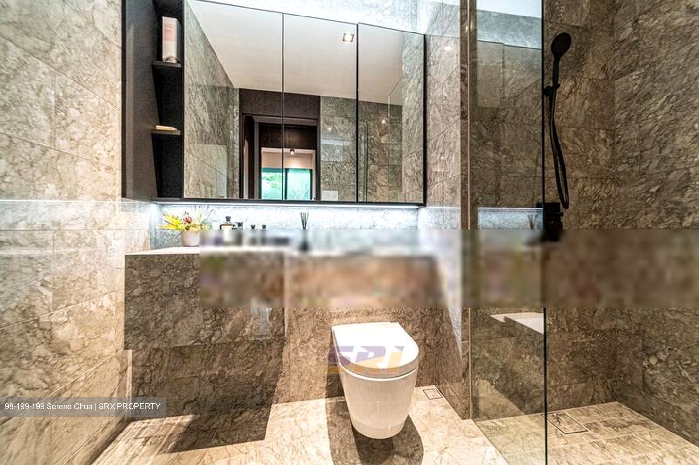 Jervois Privé (D10), Apartment #410422621